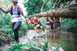 BIB: 
                            <button type="button" onclick="openModal(25476418)" class="btn btn-primary btn-sm float-right btn-popup" data-toggle="modal" data-target=".modal-high-quality">
                        <i class="fas fa-shopping-cart"></i> Add to Cart
                    </button>
                                            <button type="button" onclick="isThisMe(25476418, true)" class="btn btn-success btn-sm float-right btn-popup btn-isme hidden" data-toggle="tooltip" data-placement="bottom" title="นี่คือรูปของคุณใช่ไหม คลิกที่นี่เพื่อเอาเข้าอัลบั้ม">
                        <i class="fas fa-plus"></i> Add to album
                    </button>
                    <button type="button" onclick="isThisMe(25476418, false)" class="btn btn-warning btn-sm float-right btn-popup btn-isnotme hidden">
                        <i class="fas fa-ban"></i> Remove from album
                    </button>